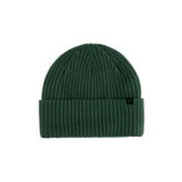 Forecast Beanie - Pine