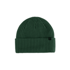 Forecast Beanie - Pine
